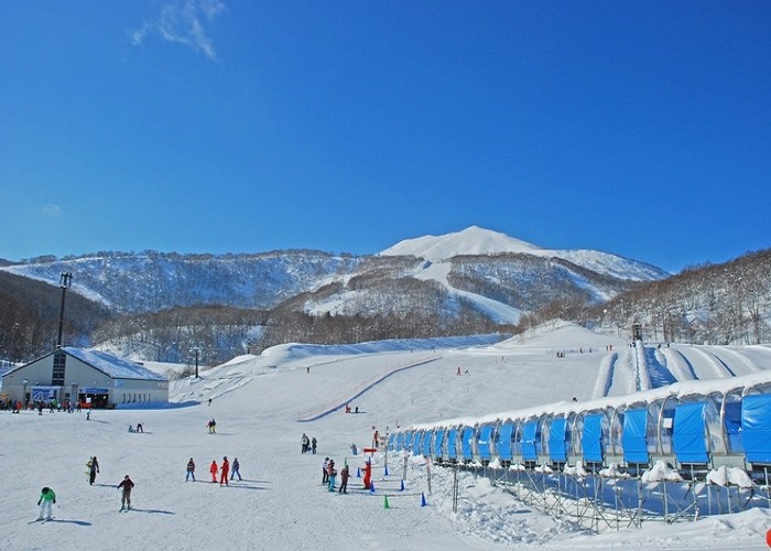Đây là lý do nên du lịch 'thiên đường tuyết' Niseko Nhật Bản vào mùa hè