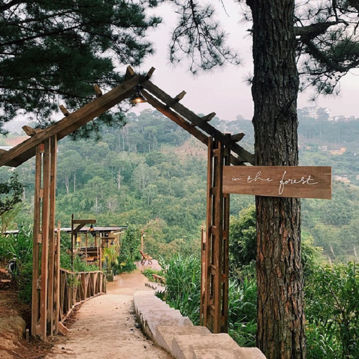 Lối vào In the Forest.