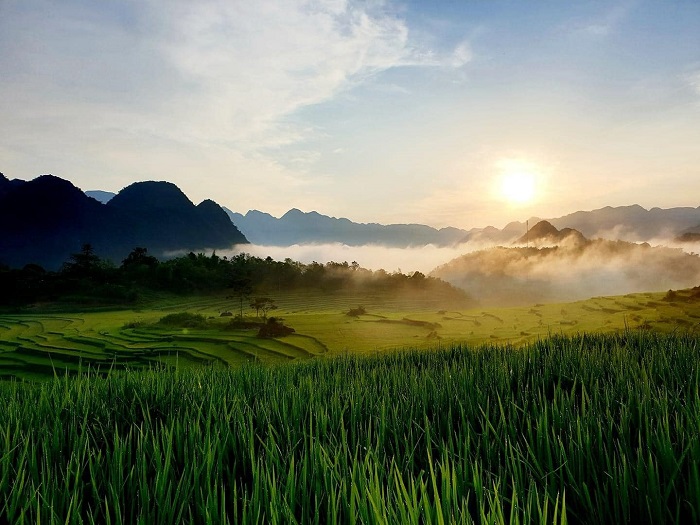 Pù Luông Retreat là một resort view núi rừng tọa lạc tại khu bảo tồn thiên nhiên Pù Luông, Thanh Hóa.