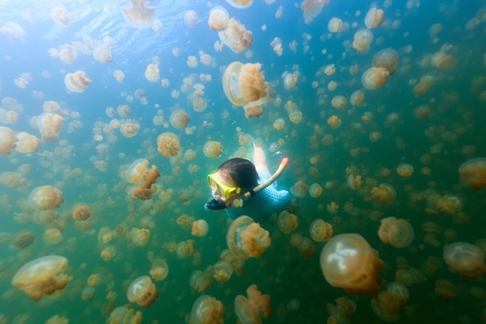 Palau