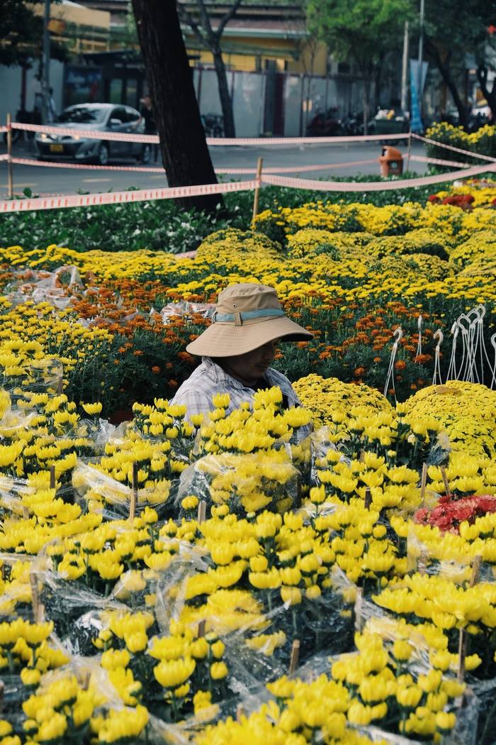 Rực rỡ sắc hoa xuân Sài Gòn
