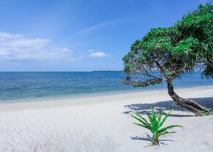 Bãi biển Trikora nước xanh trong, cát trắng mịn màng. Ảnh: agoda.com