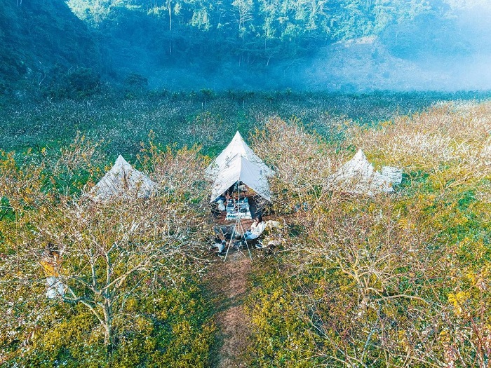 Cắm trại giữa rừng mận ở The Camp Mộc Châu.