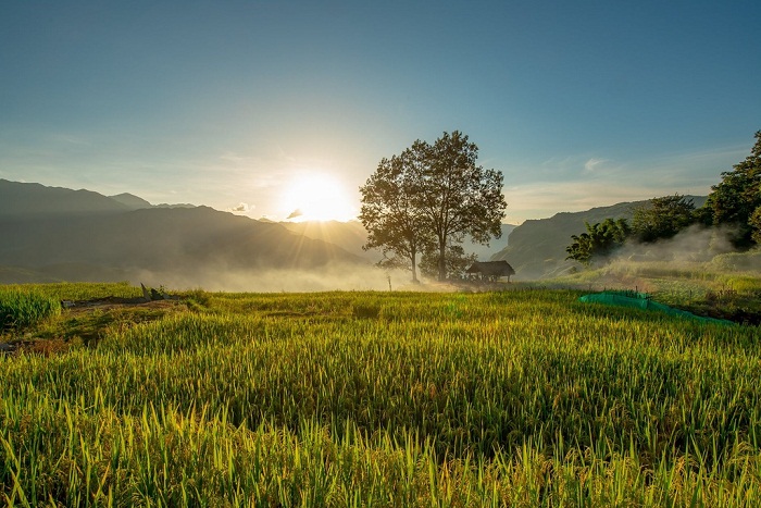 điểm ngắm lúa chín ở miền Bắc