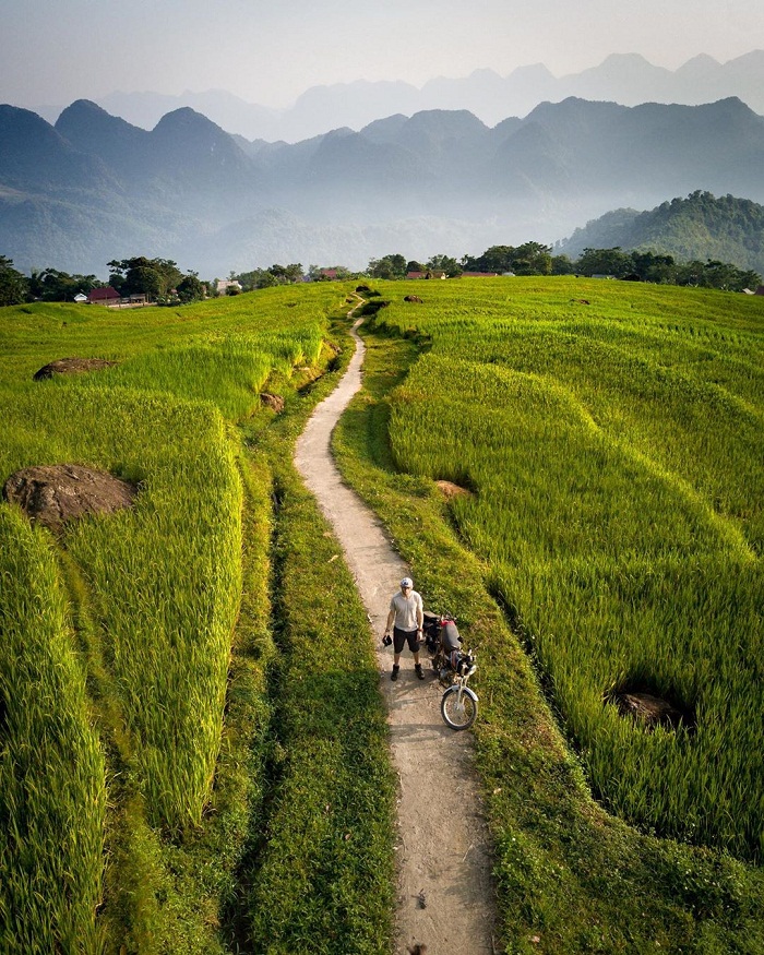 điểm ngắm lúa chín ở miền Bắc