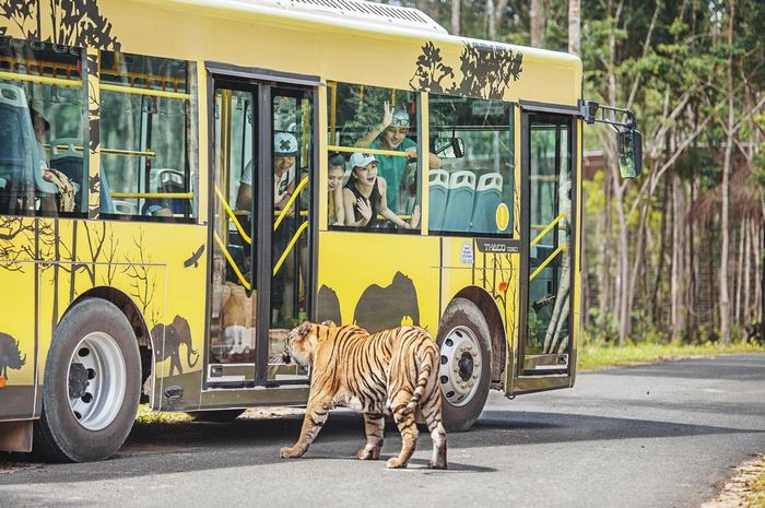 Những điều cần lưu ý khi du lịch safari