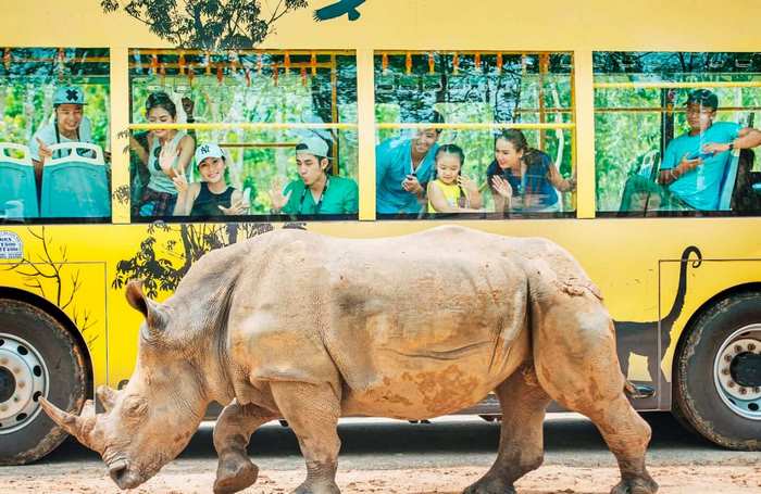 Những điều cần lưu ý khi du lịch safari