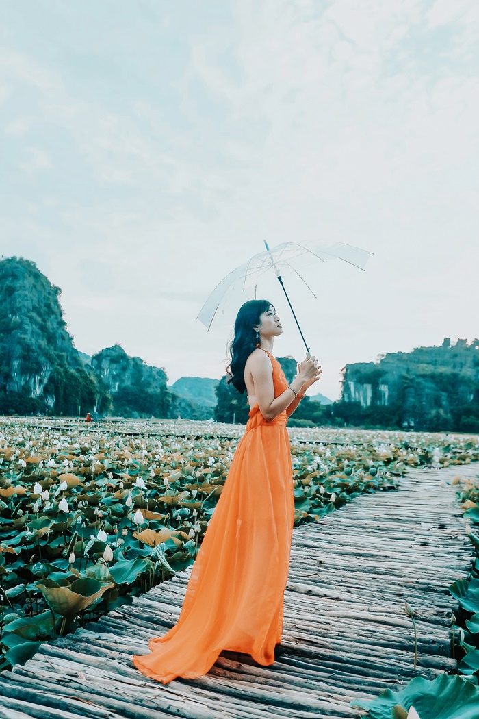 Bật mí điểm du lịch Ninh Bình mới tinh: Hồ sen rộng 1ha đang mùa nở rộ ở Hang Múa