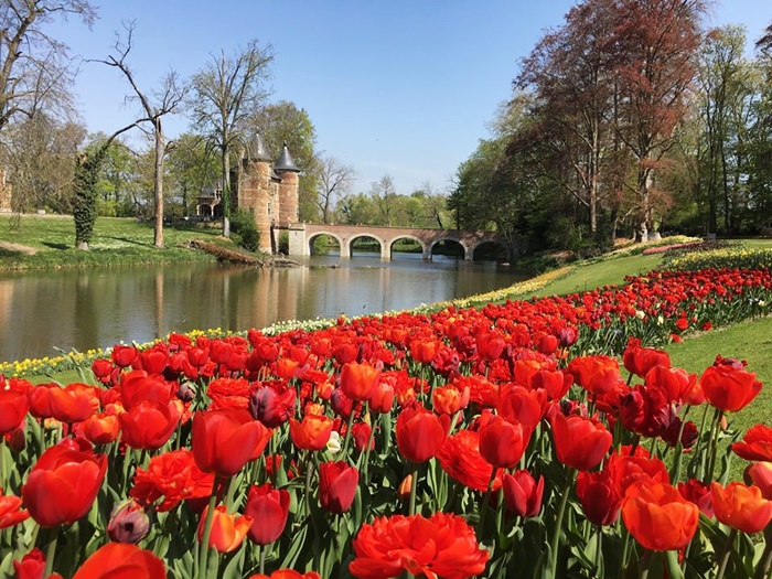Khung cảnh tuyệt đẹp của lễ hội hoa Floralia Brussels, Bỉ 2020
