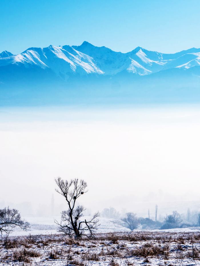 mua dong tai Romania