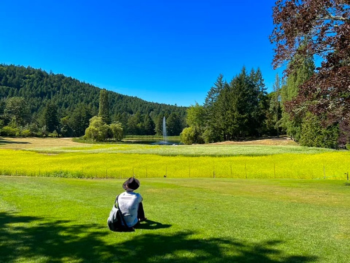 Hương sắc mùa hè ở Vancouver qua lăng kính của du khách Việt