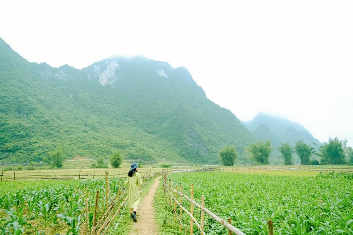 Mùa thu Cao Bằng bình yên trong bộ ảnh của nàng kiến trúc sư 8x