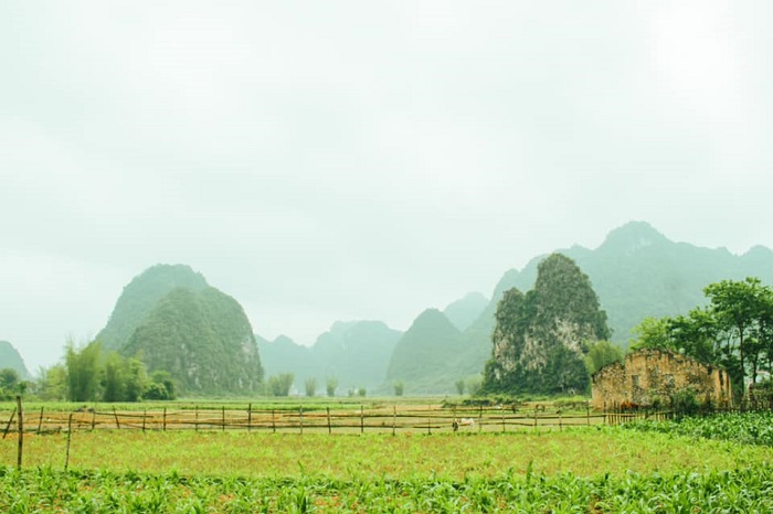 Mùa thu Cao Bằng bình yên trong bộ ảnh của nàng kiến trúc sư 8x