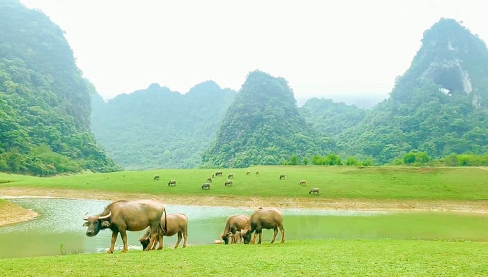 Mùa thu Cao Bằng bình yên trong bộ ảnh của nàng kiến trúc sư 8x