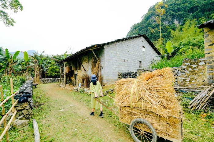 Mùa thu Cao Bằng bình yên trong bộ ảnh của nàng kiến trúc sư 8x