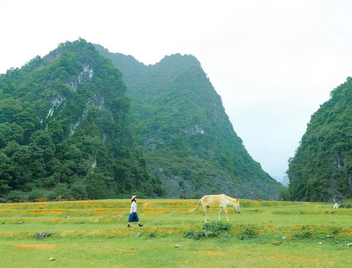 Mùa thu Cao Bằng bình yên trong bộ ảnh của nàng kiến trúc sư 8x