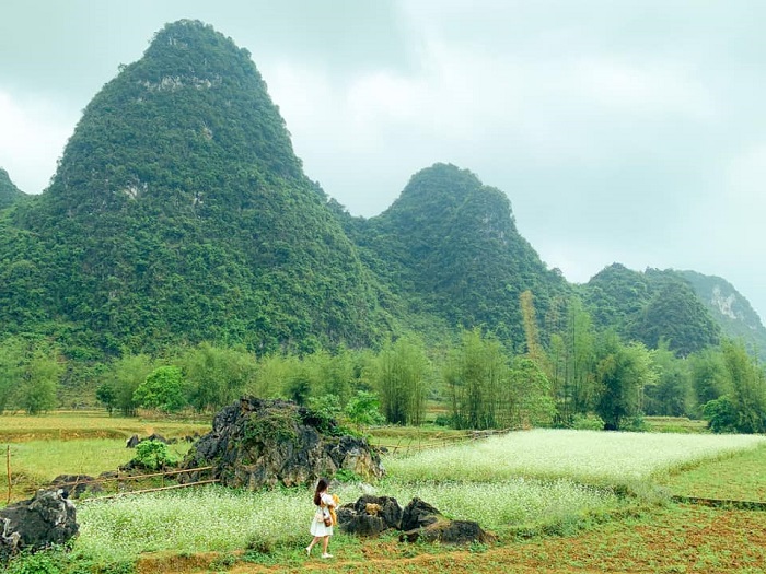 Mùa thu Cao Bằng bình yên trong bộ ảnh của nàng kiến trúc sư 8x