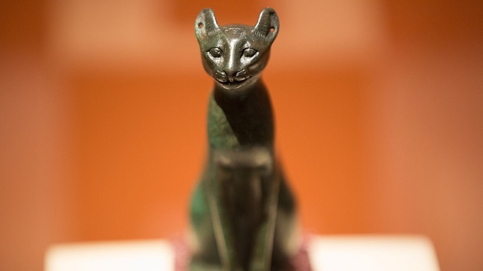 Người dân Ai Cập cổ đại coi mèo là loài vật thần bí, có khả năng đem lại may mắn.