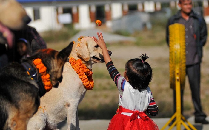Chó: Người bạn tốt nhất của con người cũng được tôn thờ ở một số vùng của Nepal. T