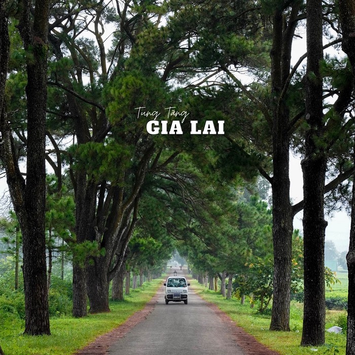 Check in Gia Lai - phố núi thơ mộng