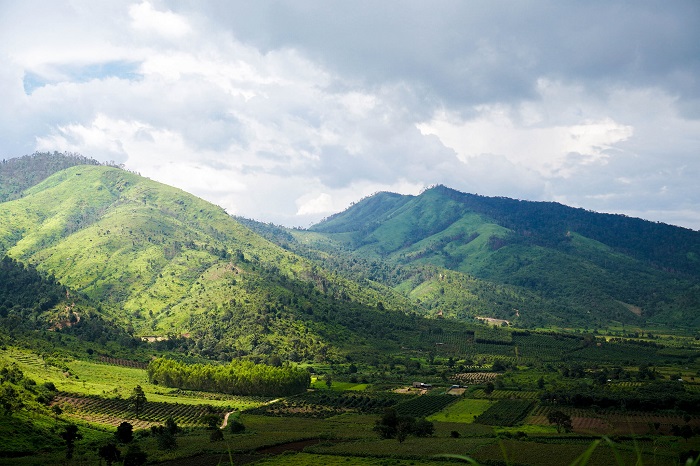 Khung cảnh bình yên trong nắng sớm