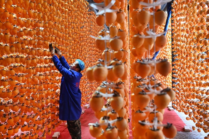 Thu đến, con người thả mình vào thiên nhiên, trong khi đó các loại cây trồng như bí ngô, các loại trái chín như táo hay hồng cũng vào vụ thu hoạch. 