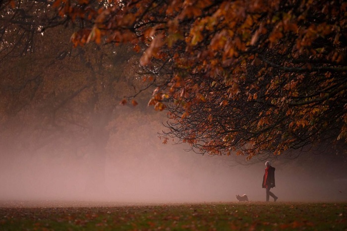 Một sớm bình yên tại công viên Greenwich, London, Anh. 