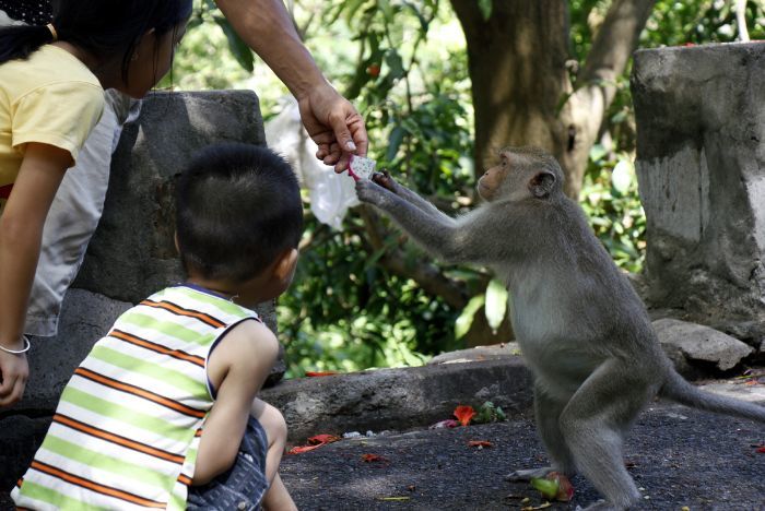 Thiền viện Trúc Lâm Chân Nguyên