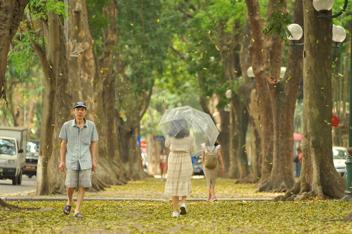 đường Phan Đình Phùng mùa thu Hà Nội