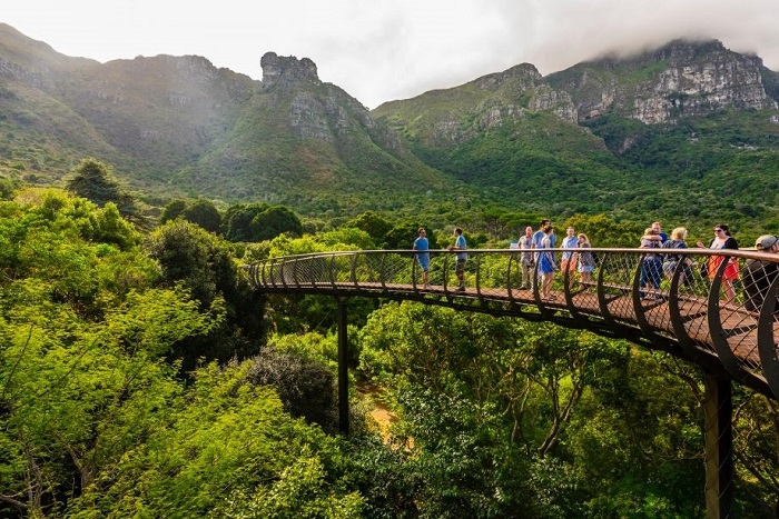 Lướt sóng tại bãi biển Muizenberg và những trải nghiệm tuyệt vời khác ở Cape Town