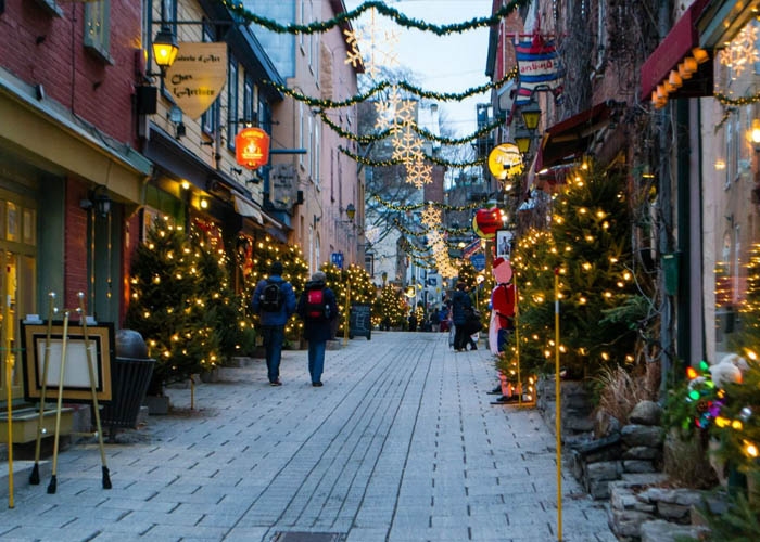 Trước mỗi ngôi nhà trên phố đều trang trí cây thông Noel và đèn điện lấp lánh. Ảnh: eadingenered.pro
