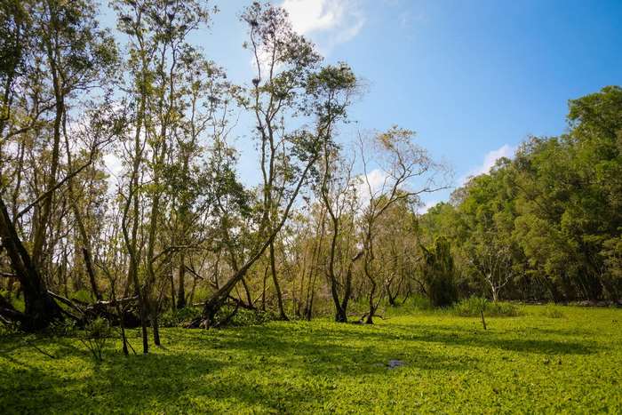 An Giang sông nước hữu tình