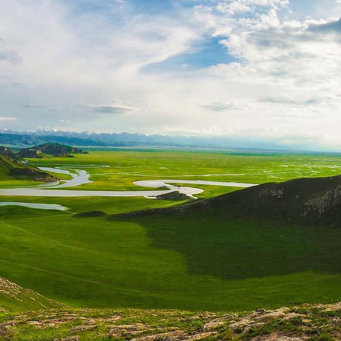 Thảo nguyên Bayanbulak, thảo nguyên núi cao lớn nhất Trung Quốc,