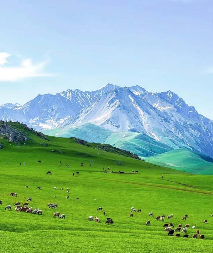 Thiên nhiên ở Tân Cương níu giữ bước chân du khách