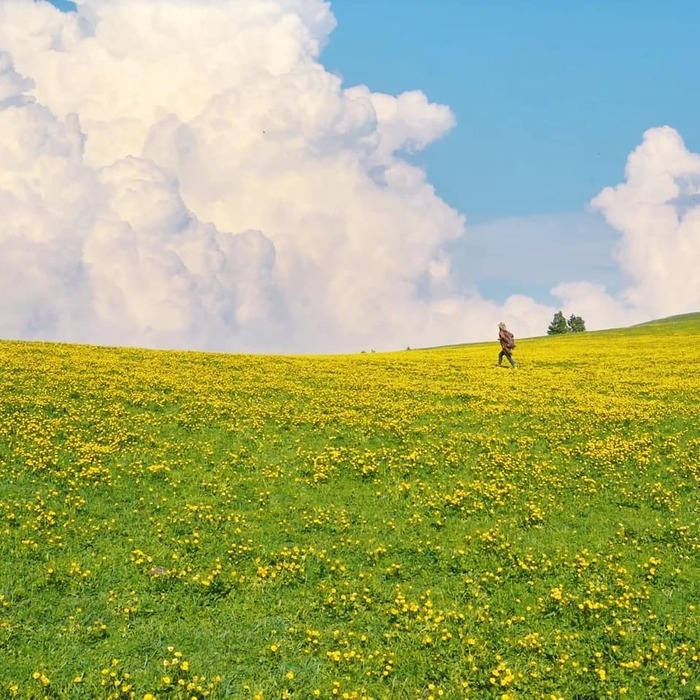 Cảnh sắc thiên nhiên đầy sức sống ở Karajun 