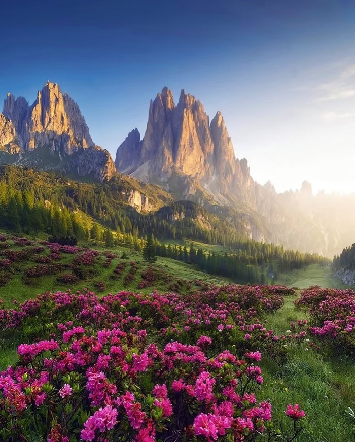 Cùng cẩm nang du lịch Tân Cương Trung Quốc khám phá mùa xuân