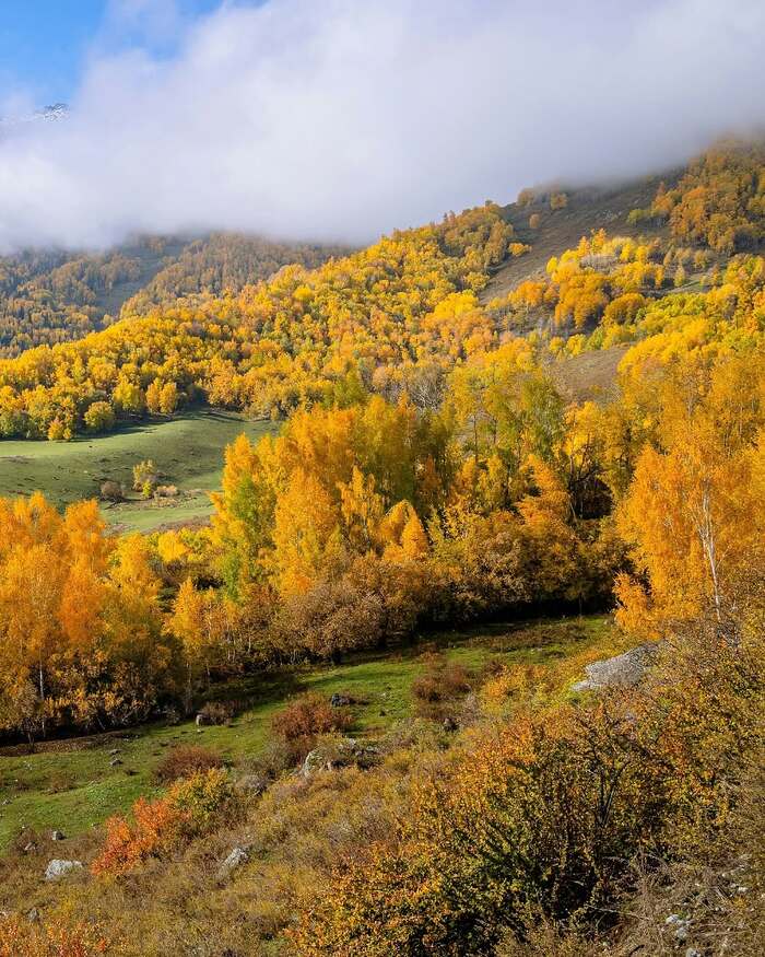 Mùa thu ở Tân Cương với cảnh sắc rực rỡ