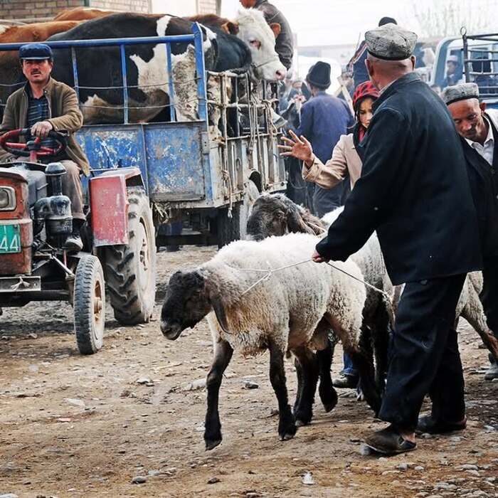 Một số lưu ý khi du lịch Tân Cương Trung Quốc