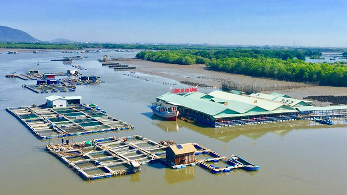 bến thuyền Marina 