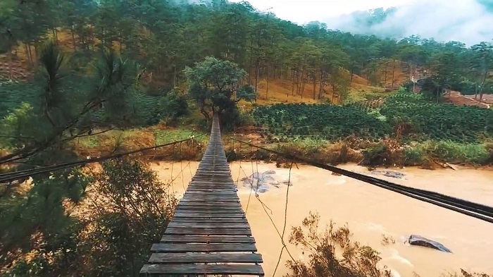 cầu treo