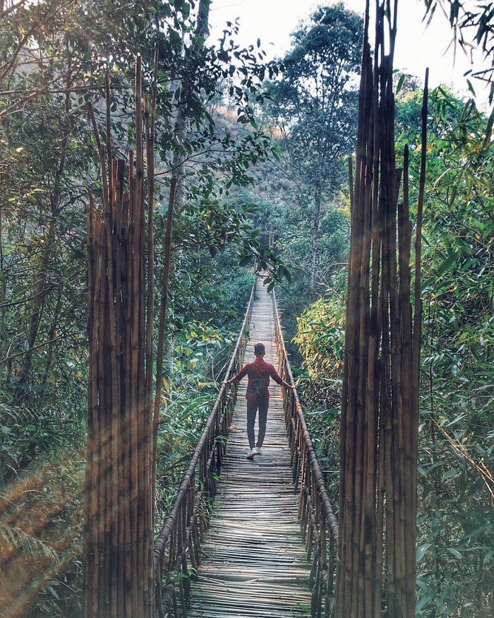 cầu treo 