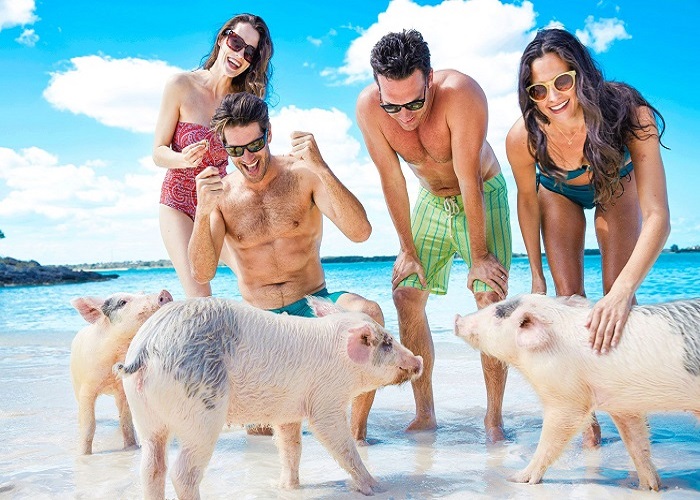 Thiên đường “đảo lợn” có 1-0-2 ở Bahamas-1