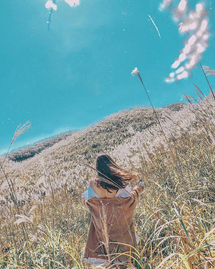 ‘Rụng tim’ trước những cánh đồng cỏ lau đẹp ở Việt Nam cứ lên hình là ‘chất như nước cất’