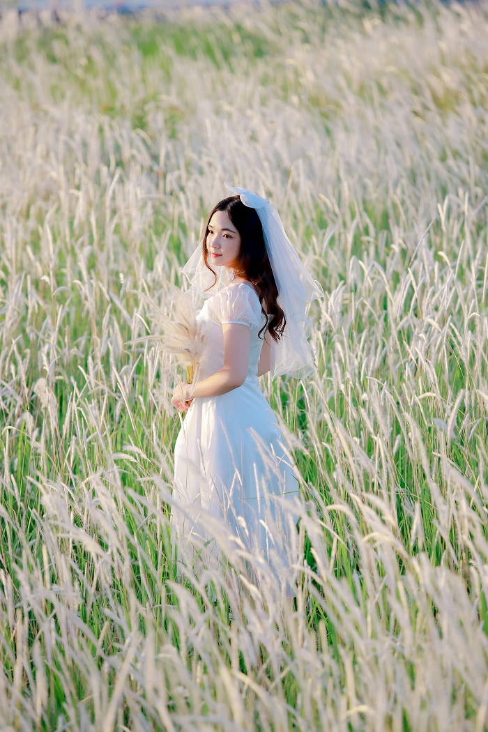 ‘Rụng tim’ trước những cánh đồng cỏ lau đẹp ở Việt Nam cứ lên hình là ‘chất như nước cất’