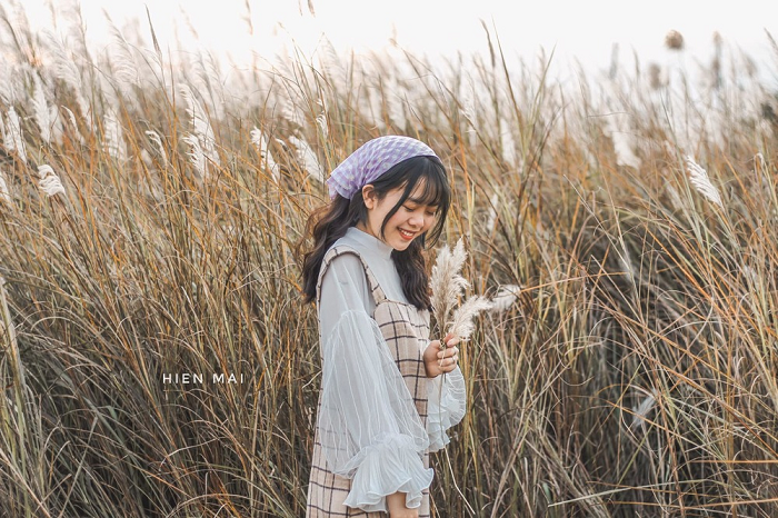 ‘Rụng tim’ trước những cánh đồng cỏ lau đẹp ở Việt Nam cứ lên hình là ‘chất như nước cất’