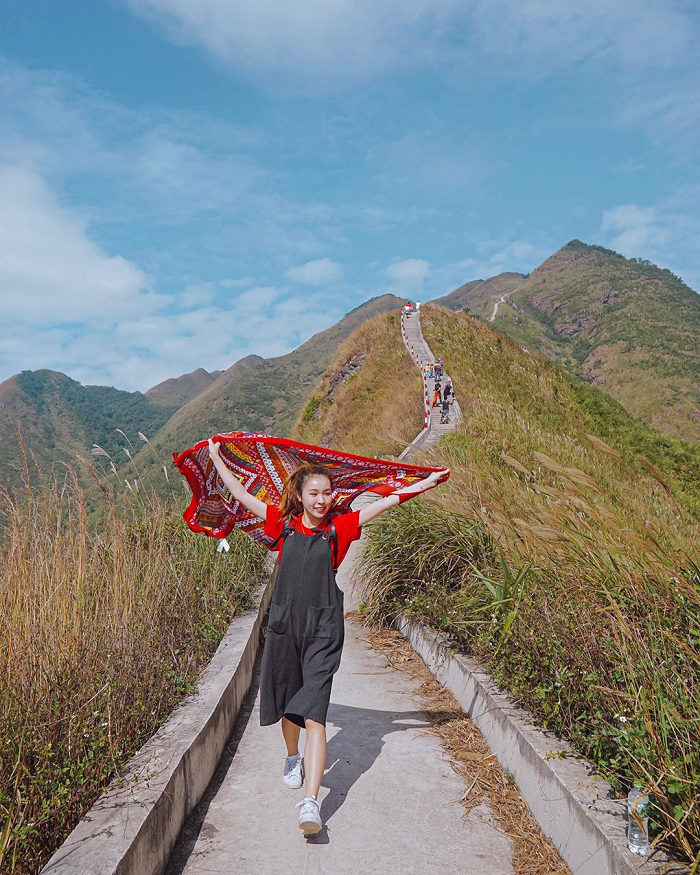 ‘Rụng tim’ trước những cánh đồng cỏ lau đẹp ở Việt Nam cứ lên hình là ‘chất như nước cất’