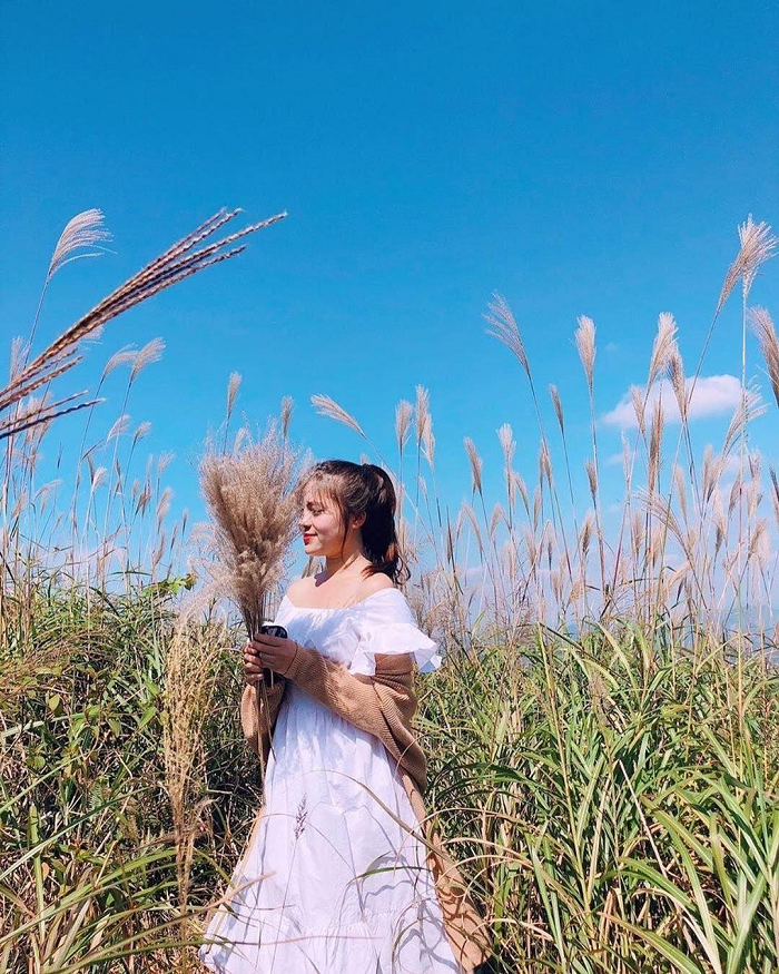 ‘Rụng tim’ trước những cánh đồng cỏ lau đẹp ở Việt Nam cứ lên hình là ‘chất như nước cất’