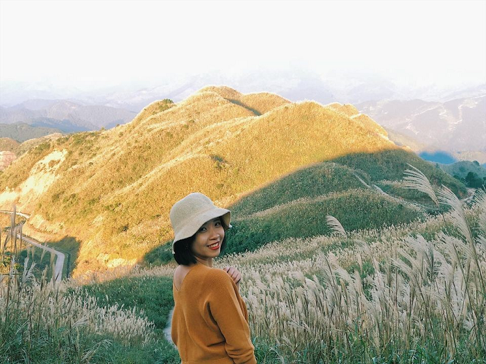 ‘Rụng tim’ trước những cánh đồng cỏ lau đẹp ở Việt Nam cứ lên hình là ‘chất như nước cất’