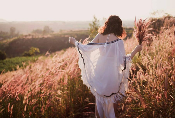 ‘Rụng tim’ trước những cánh đồng cỏ lau đẹp ở Việt Nam cứ lên hình là ‘chất như nước cất’