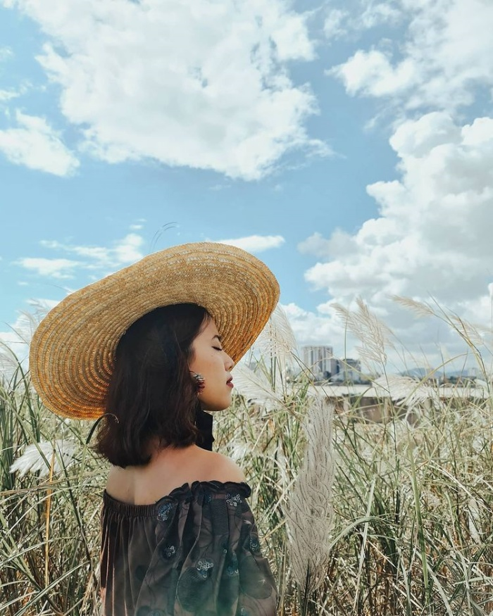 ‘Rụng tim’ trước những cánh đồng cỏ lau đẹp ở Việt Nam cứ lên hình là ‘chất như nước cất’